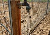 Run water line with hose bib tap to livestock paddock
